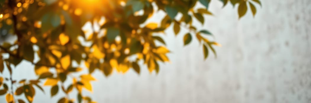 Golden sunlight spills through vibrant autumn leaves, casting a warm glow in a tranquil outdoor space. The soft light enhances the natural beauty and peaceful atmosphere.
