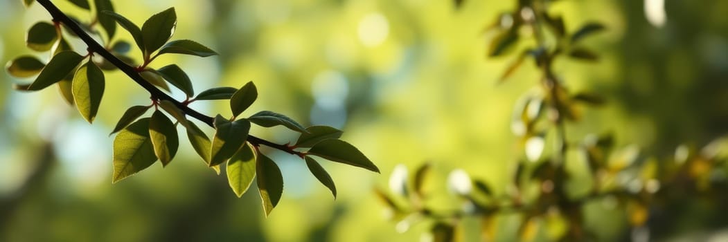 Sunlight streams through vibrant green leaves, creating a serene atmosphere in a lush forest. The interplay of light and foliage highlights the beauty of nature.