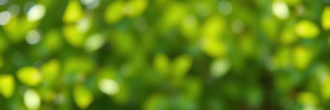 Sunlight filters through vibrant leaves, creating a sparkling effect in a tranquil garden. The greenery embodies a refreshing summer atmosphere and peaceful nature.