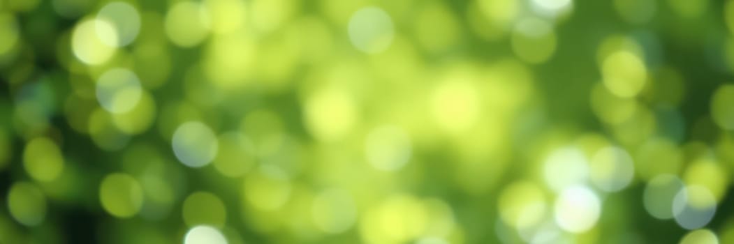 Rays of sunlight penetrate through a canopy of green leaves, producing a vivid bokeh effect. This scene captures the essence of a serene and vibrant forest atmosphere at midday.