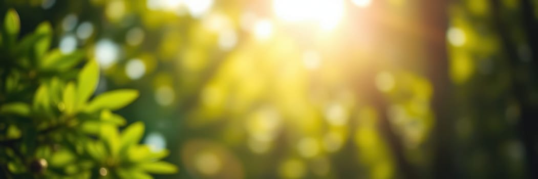 Golden sunlight streams through vibrant leaves, creating a peaceful atmosphere in a serene forest. The lush greenery invites relaxation and connection with nature.