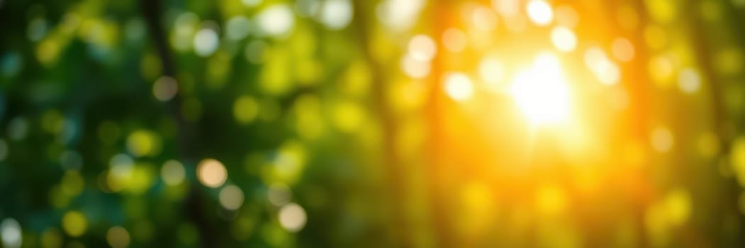 Sunlight gently streams through the trees in a peaceful forest, creating a warm and inviting atmosphere. The vibrant greenery enhances the tranquil ambiance.