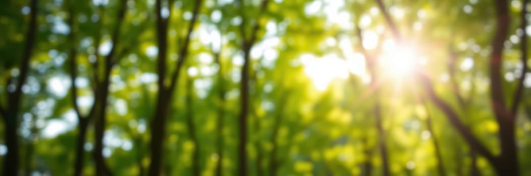 Bright sunlight shines through the vibrant green leaves of trees, creating a peaceful atmosphere in a dense forest during a calm morning in late spring.