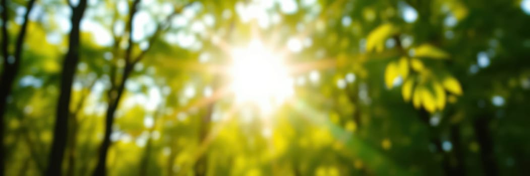 Bright sunlight streams through the dense canopy of leaves, creating a tranquil atmosphere in a vibrant forest. The warmth of a summer day enhances the beauty of the surroundings.