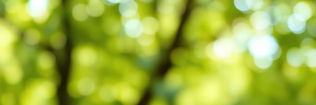 Sunlight filters through the lush green leaves, creating a warm and inviting atmosphere in a peaceful forest setting during the spring season.