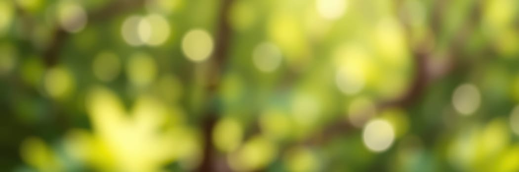 Bright sunlight dapples the ground as it filters through vibrant green leaves in a dense forest, creating a peaceful and tranquil atmosphere during midday.