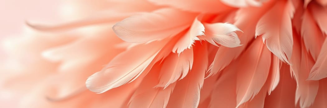 Delicate peach-colored flower petals exhibit intricate details and soft textures, illuminated by gentle natural light, creating a serene and calming atmosphere.