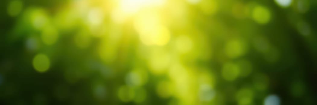 Sunlight shines softly through vibrant green leaves in a tranquil forest, creating a calming ambiance. The gentle light enhances the natural beauty of the surroundings.