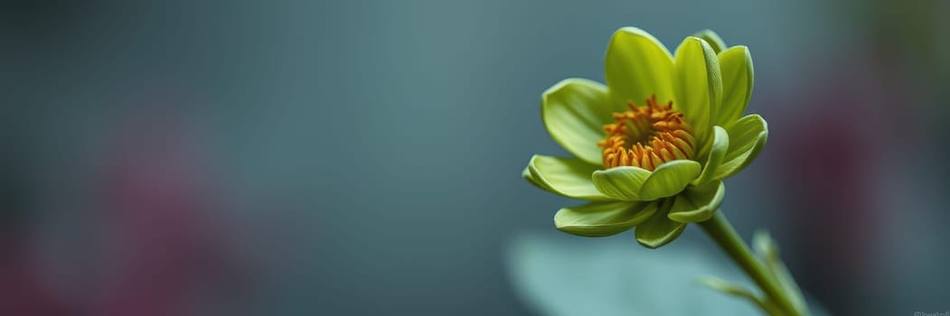 A vibrant green flower with a striking orange center blooms softly against a blurred, tranquil background, showcasing natural beauty and delicate details.
