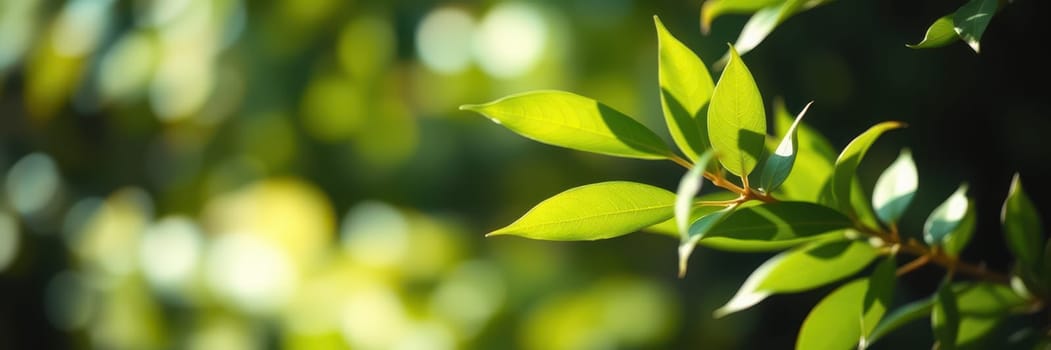 Vibrant green leaves glisten as sunlight filters through them, casting soft shadows. The relaxed setting invites tranquility, highlighting nature's beauty during a warm day.