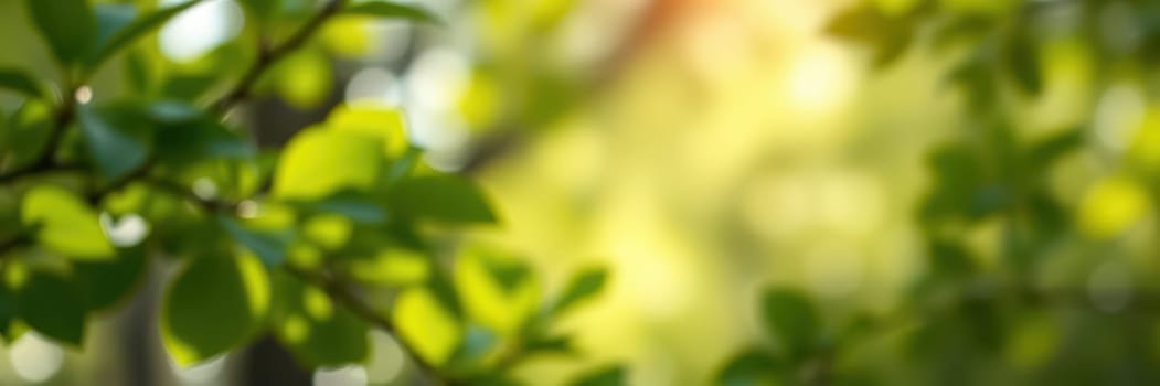 Sunlight streams through a dense forest, illuminating vibrant green leaves. The soft focus highlights the natural beauty and tranquility of a summer day in nature.