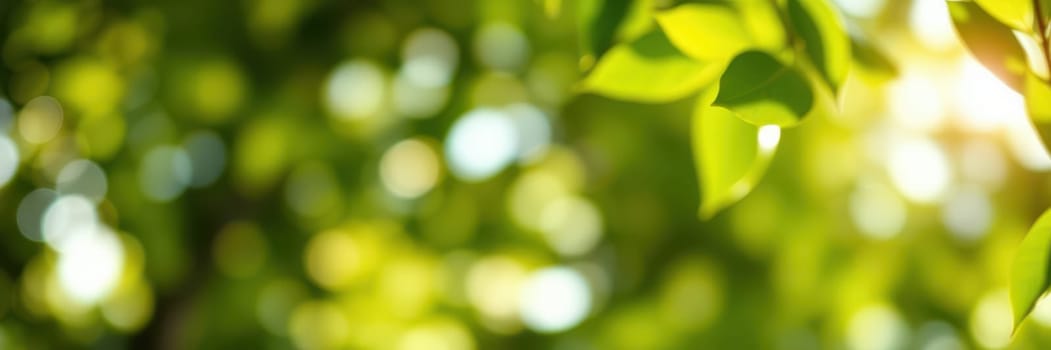 Sunlight filters through vibrant green leaves, casting gentle shadows and creating a peaceful ambiance in a dense forest. The scene captures the essence of nature's beauty.