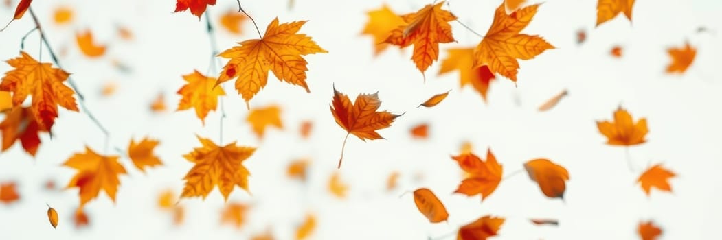Orange maple leaves swirl and float gently through the air, bringing the essence of fall to life against a soft background. The quiet beauty captures the season's magic.
