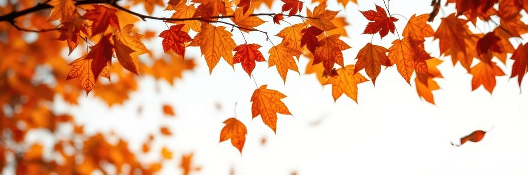 Bright orange and red leaves gently sway in the breeze, filling the air with the essence of autumn. The scene captures the tranquility and beauty of nature in fall.
