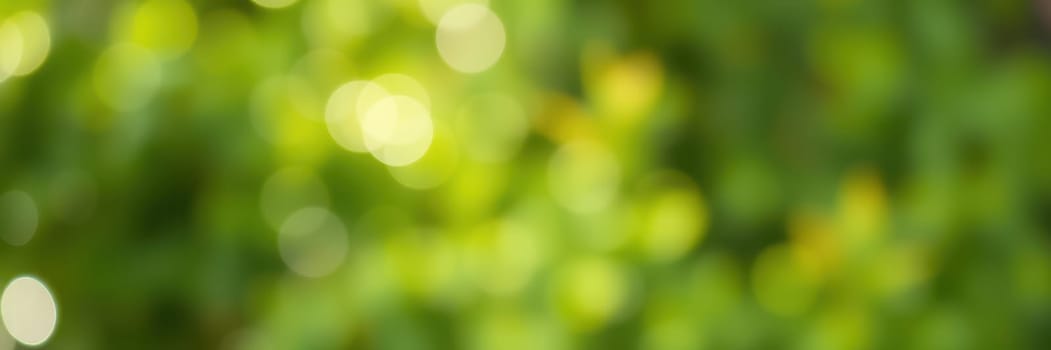 Sunlight streams through vibrant green leaves, creating a soft bokeh effect that enhances the tranquil atmosphere of the natural environment. Gentle hues add warmth.