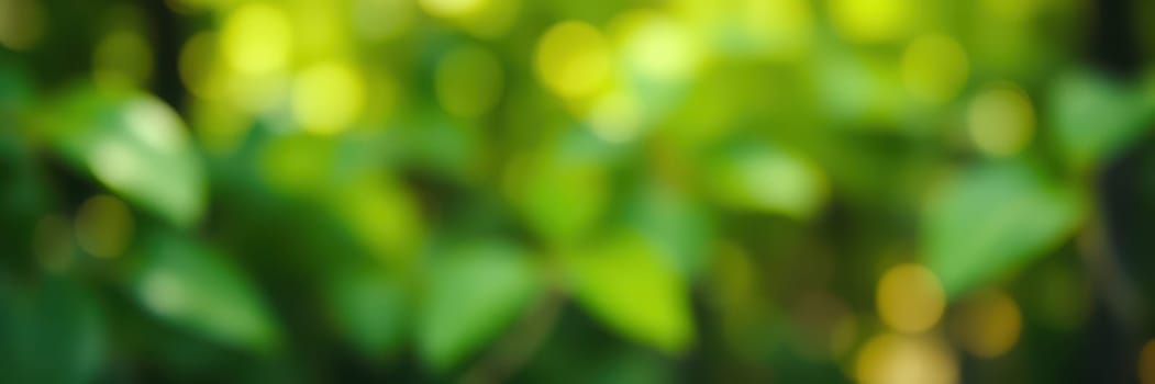 Lush green leaves fill the frame, glowing in soft sunlight. The tranquil atmosphere suggests a quiet afternoon in a vibrant tropical forest, highlighting nature's beauty.