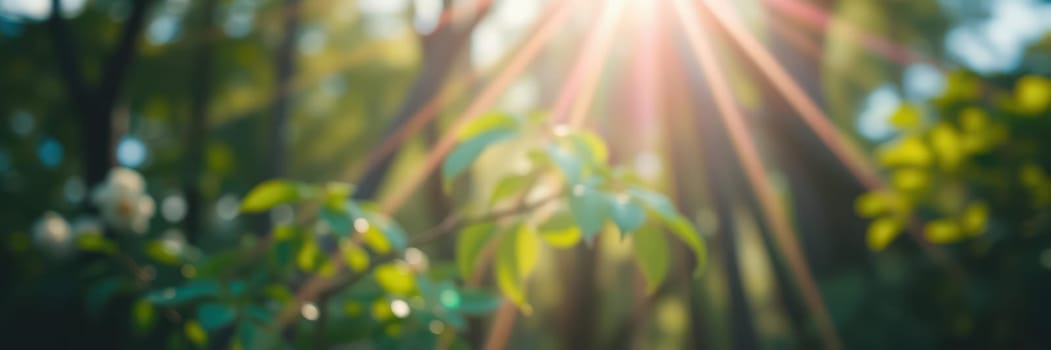 Bright sunlight shines through vibrant green leaves, creating a tranquil atmosphere in the forest. The warmth of the day enhances the serene environment filled with nature.