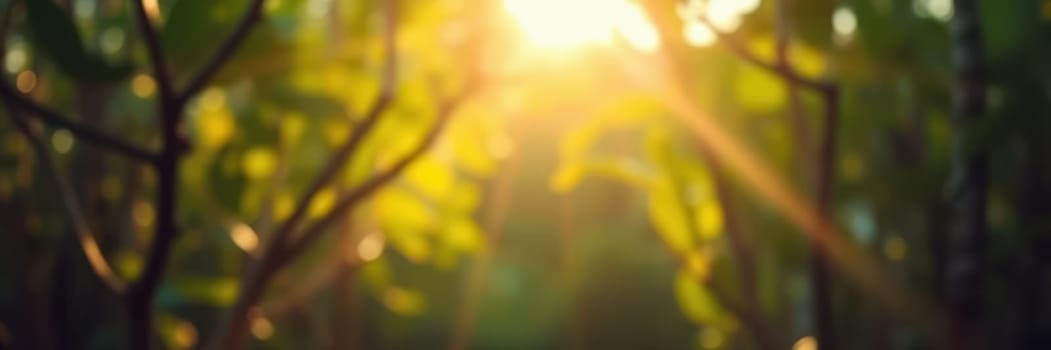 Sunlight streams through vibrant green leaves in a serene forest, creating a peaceful atmosphere during late afternoon. The warm glow enhances the natural beauty of the surroundings.