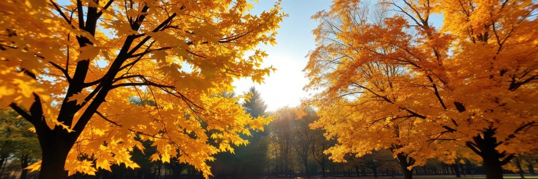 Autumn foliage creates a warm golden glow as sunlight filters through trees in a tranquil park. The landscape captures the essence of fall, inviting peaceful reflection.
