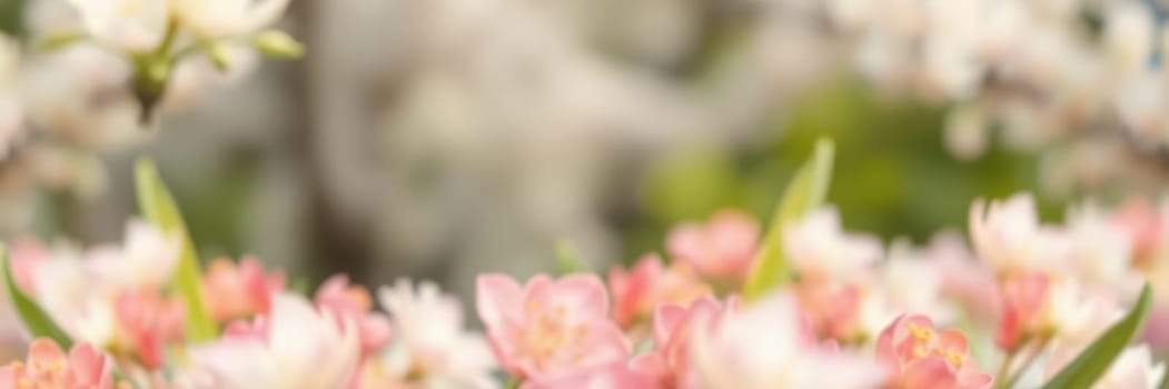 A garden filled with blooming flowers displays a mix of pink and white petals. The gentle sunlight highlights their beauty, creating a serene spring atmosphere.