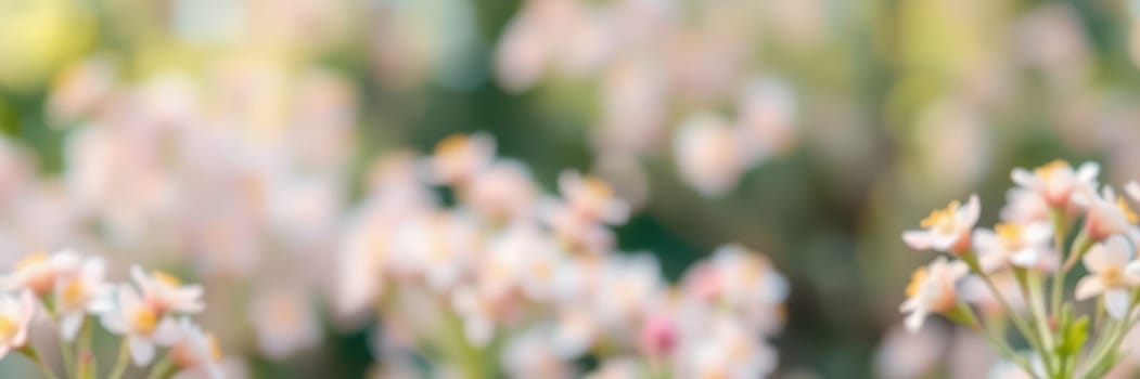 Delicate flowers fill a vibrant garden during springtime, radiating soft colors under warm sunlight. The scene conveys tranquility and the beauty of nature's renewal.