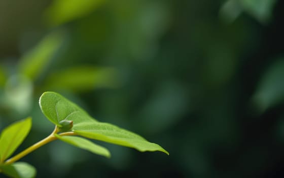 A single green leaf stands out against a blurred background of greenery. The sunlight highlights its texture and vibrant color, creating a serene natural atmosphere.