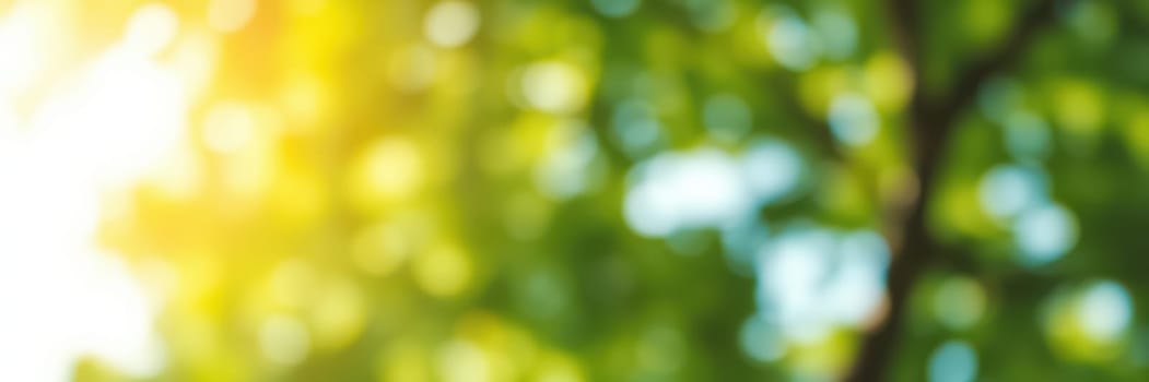 Gentle sunlight streams through vibrant green leaves, creating a warm and peaceful atmosphere in a natural environment during the morning.