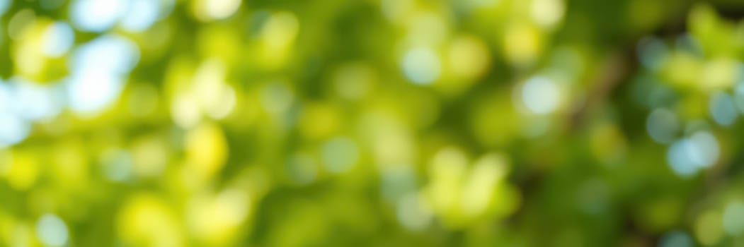 Sunlight casts a warm glow through dense green leaves in a tranquil park. People enjoy leisurely activities on a sunny afternoon surrounded by nature.