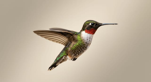 A detailed view of a hummingbird showcasing its colorful plumage and intricate feathers. the bird is in mid-flight, with wings blurred in motion, set against a gentle, neutral backdrop its vibrant colors.