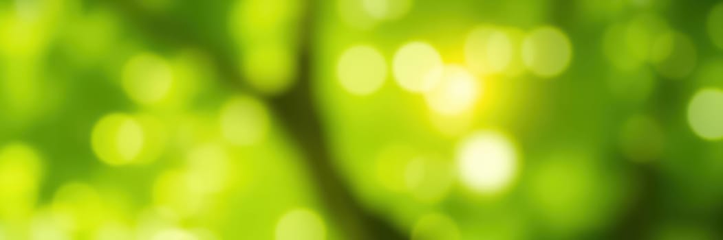 Sunlight streams through lush green leaves, creating a playful dance of light and shadow in a peaceful forest environment. The vibrant colors evoke a sense of tranquility.
