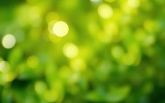 Soft light filters through vibrant green leaves, creating a peaceful ambiance in a lush outdoor setting, perfect for relaxation and connection with nature.