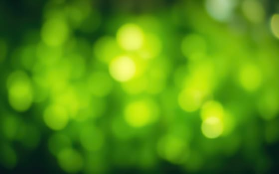 Soft green bokeh illuminates the surroundings in a serene forest. Sunlight filters through the leaves, creating a tranquil atmosphere ideal for relaxation or nature walks.