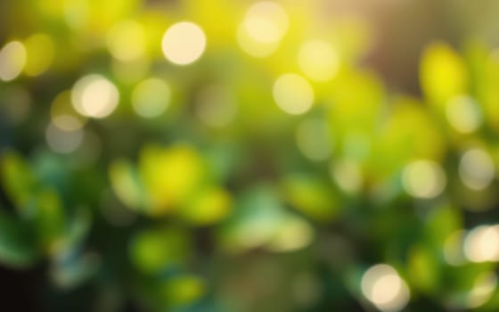 Natural light gently illuminates vibrant green leaves, creating a peaceful ambiance in a garden. The blurred background enhances the tranquility of the moment.