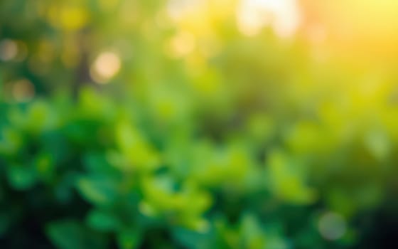 Lush green foliage fills the frame, softly blurred to create a dreamy effect. The warm sunlight enhances the tranquil atmosphere of the garden during evening hours.