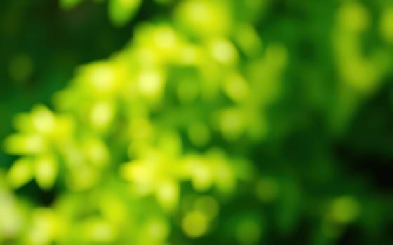 Vibrant green leaves create a soft, blurred backdrop, capturing the essence of a sunlit garden in spring. This lush environment evokes feelings of tranquility and renewal.
