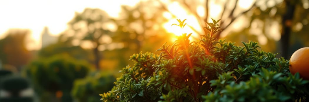 Soft sunlight breaks through trees at dawn, casting a warm glow over green foliage. An orange fruit hangs amid the vibrant leaves, creating a serene atmosphere in the park.