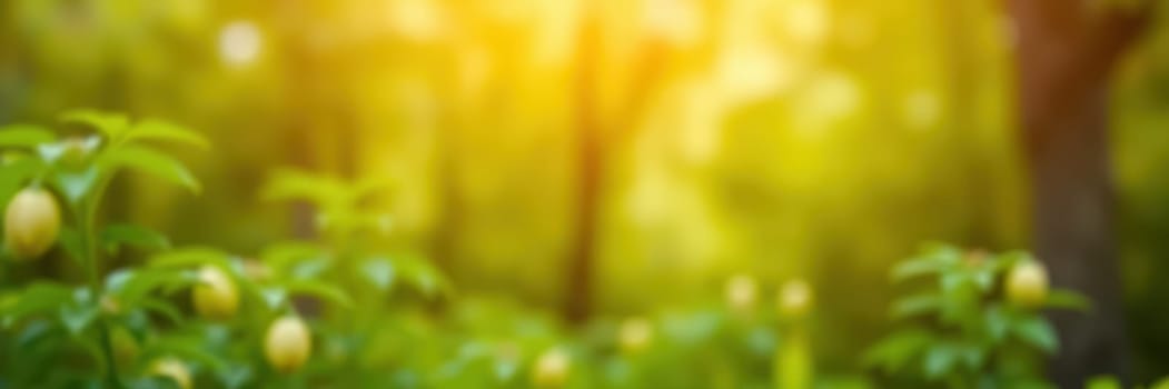 The vibrant foliage glows under warm sunlight filtering through the trees in a peaceful forest. Small buds dot the greenery, hinting at nature's awakening in the morning.