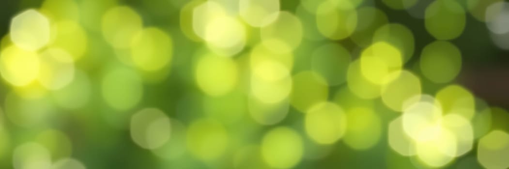 Soft green bokeh lights float in the air, creating a gentle and calming atmosphere. This peaceful moment captures nature's beauty with sparkling highlights in a sunlit outdoor location.
