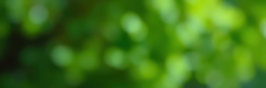 Sunlight filters through lush green leaves, creating a tranquil and soothing environment in a vibrant garden. Nature's beauty shines in this peaceful setting.