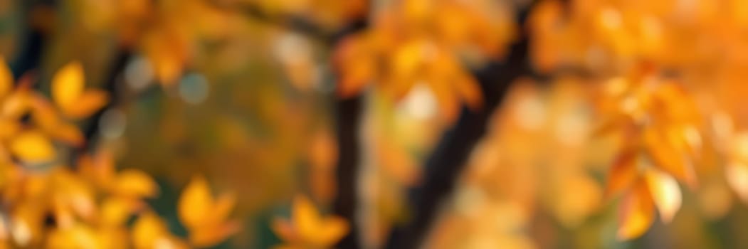 Bright orange and yellow leaves fill the branches of a tree in a park. This stunning display of autumn foliage captivates onlookers, inviting them to enjoy the beauty of nature.