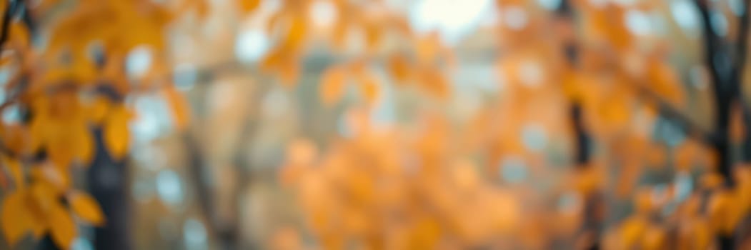 Bright orange and yellow leaves fill the trees in a tranquil park during autumn. Soft sunlight adds warmth to the scenery, enhancing the peaceful vibe of the surroundings.