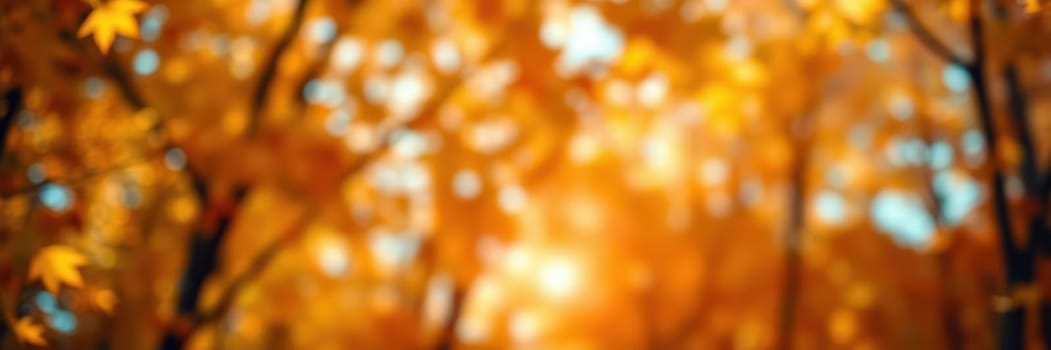 Golden and orange leaves blanket the trees as soft sunlight filters through the canopy, creating a warm and inviting atmosphere in the tranquil forest during fall.
