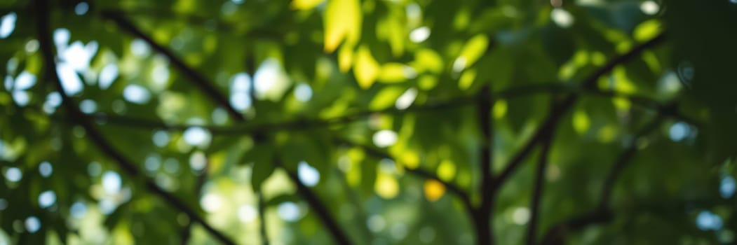 Sunlight filters through a dense layer of green leaves, creating a lively and tranquil atmosphere in the forest. The lush foliage sways gently in the breeze.