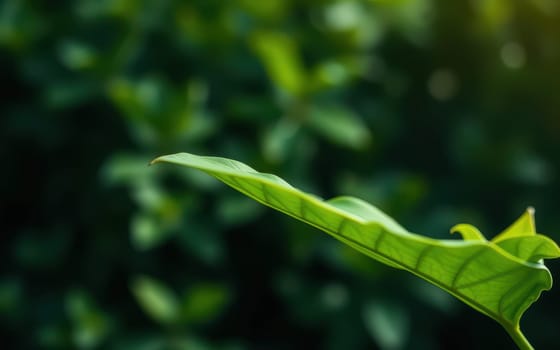 A close-up of a green leaf showcasing its texture and details. The surrounding garden foliage creates a natural backdrop, enhancing the vividness of the leaf.