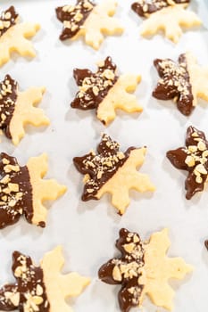 Creating cutout sugar cookies, partially dipped in chocolate and topped with hazelnut pieces, placed on parchment paper.