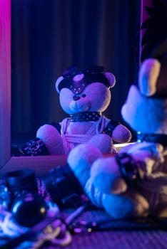 the toy bear in leather harness and accessory for BDSM games on a dark background in neon light near the mirror