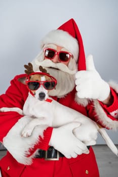 Santa claus and santa's helper in sunglasses on a white background. Jack russell terrier dog in a deer costume