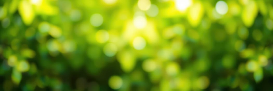 Sunlight filters through lush green leaves, casting a warm glow that enhances the calm and peaceful ambiance of the outdoor space during a bright day.