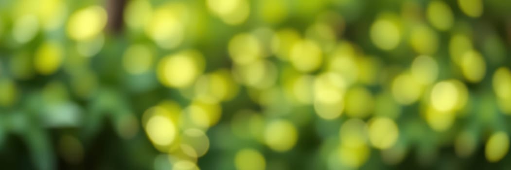 A tranquil backdrop of blurred greenery features soft, glowing points of light. This creates a calming and inviting environment, perfect for relaxation or inspiration.