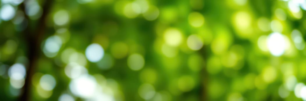 Sunlight filters through the dense canopy, creating a calming atmosphere with vibrant green leaves. The tranquil forest invites relaxation and exploration, surrounded by nature's beauty.